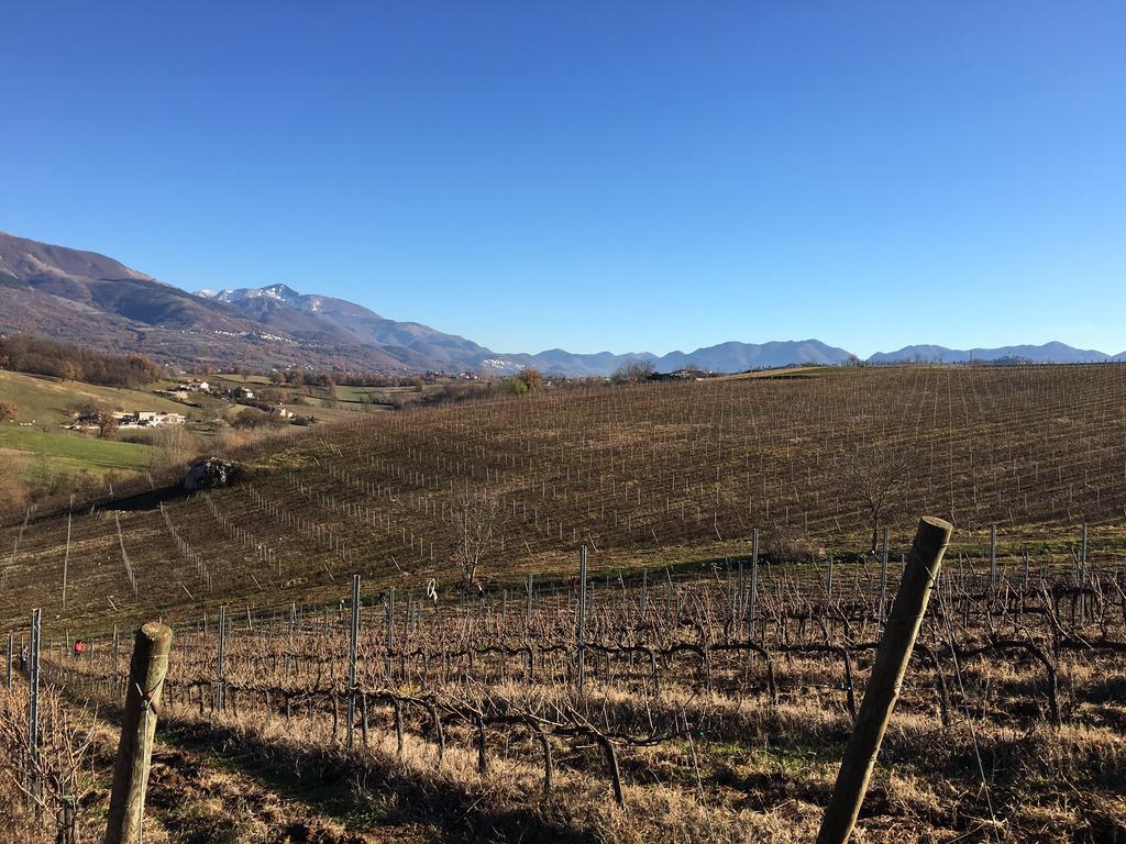 Agriturismo Di Charme Erbadoro Alvito Екстер'єр фото
