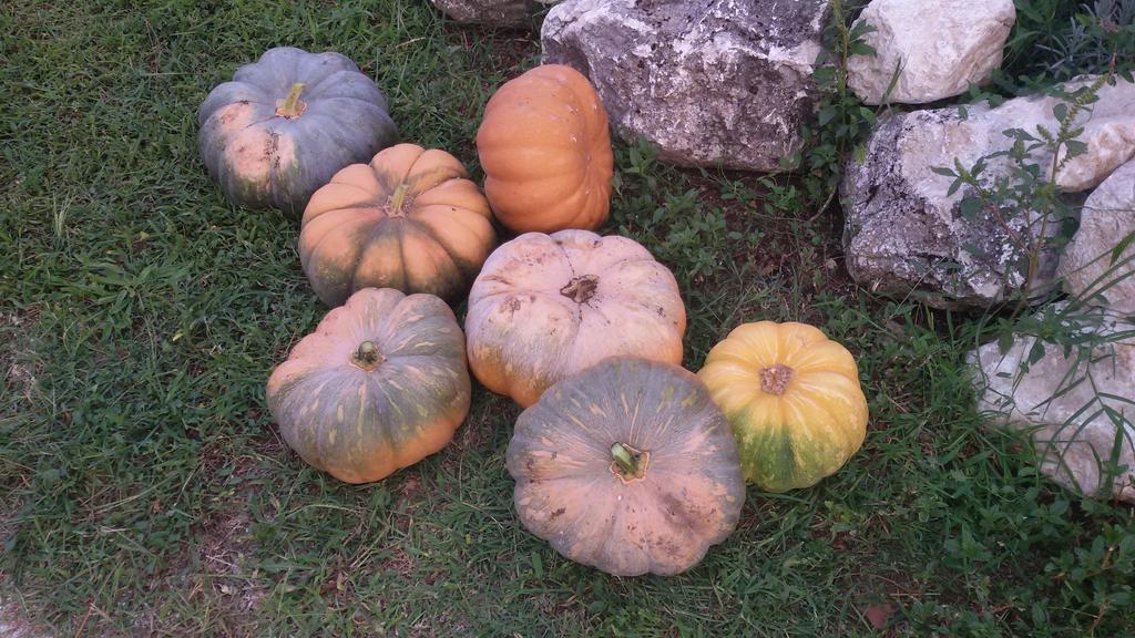 Agriturismo Di Charme Erbadoro Alvito Екстер'єр фото