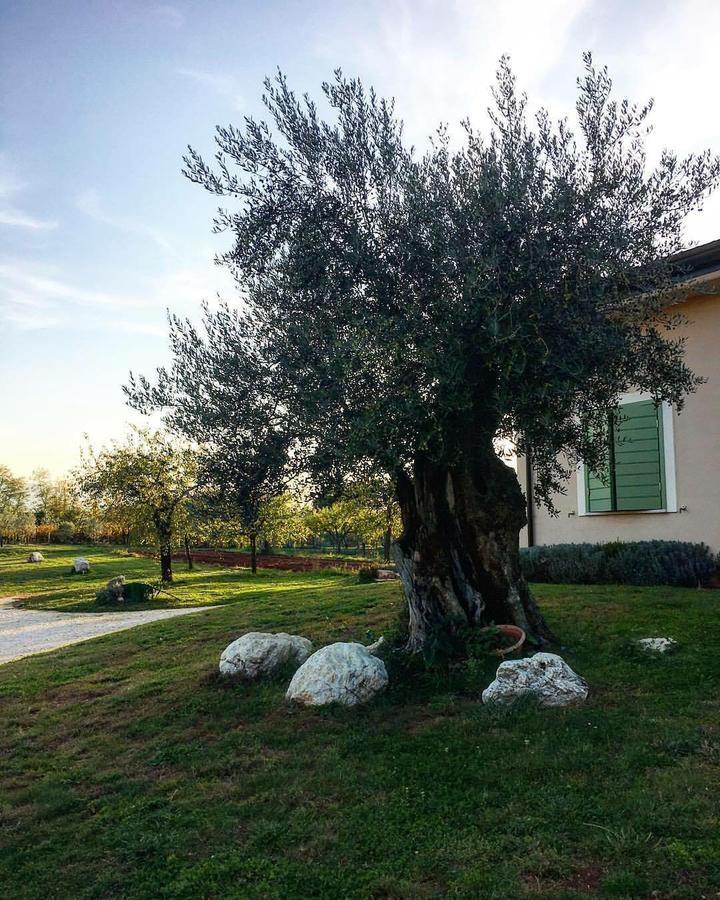 Agriturismo Di Charme Erbadoro Alvito Екстер'єр фото