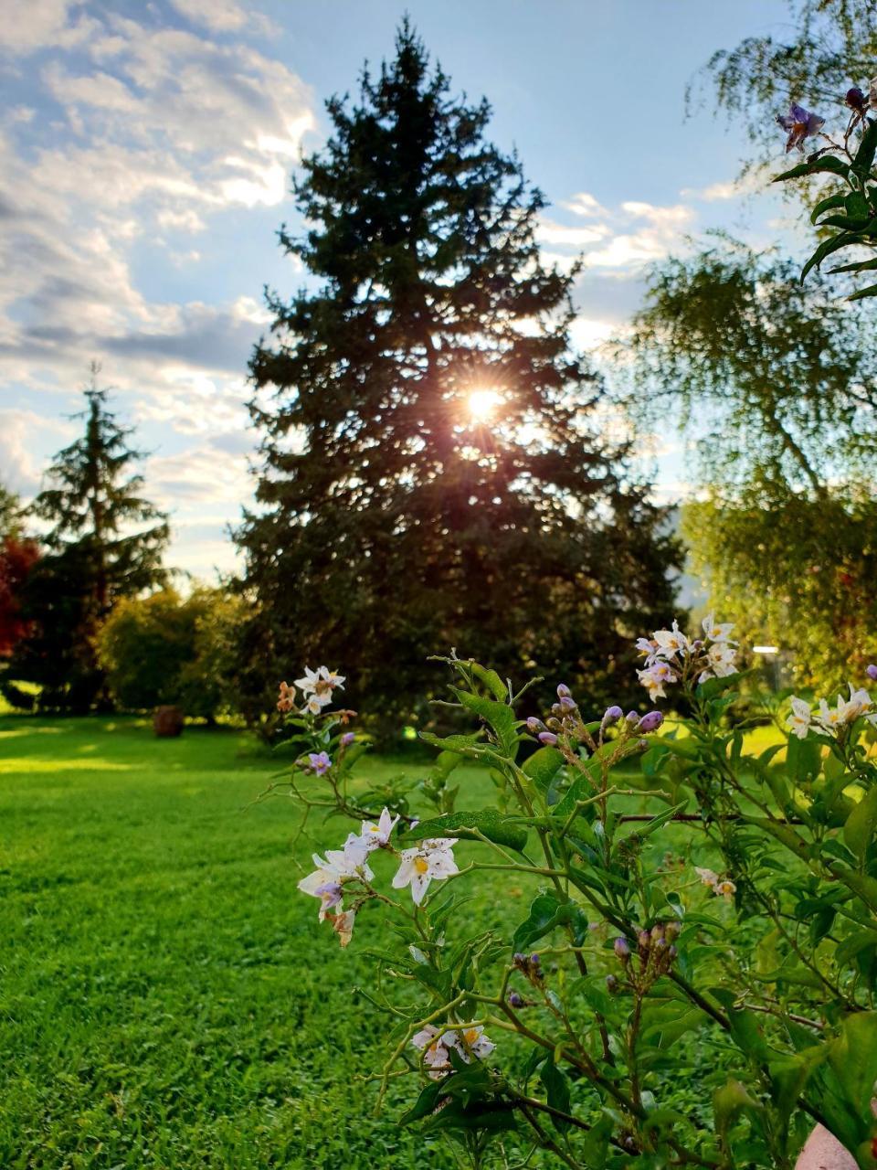 Agriturismo Di Charme Erbadoro Alvito Екстер'єр фото