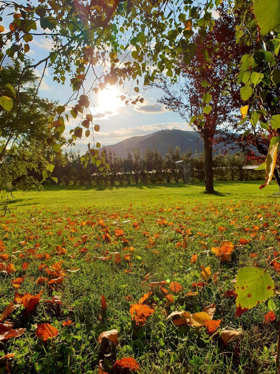 Agriturismo Di Charme Erbadoro Alvito Екстер'єр фото